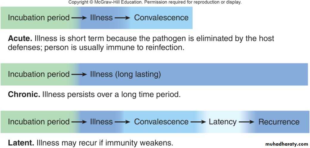 Host-Microbe Interaction
