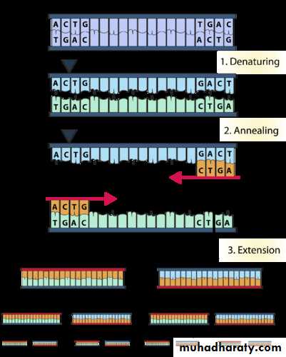Diagnosis of Genetic Diseases