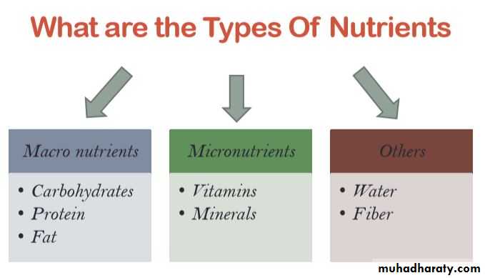 Nutrition and Health