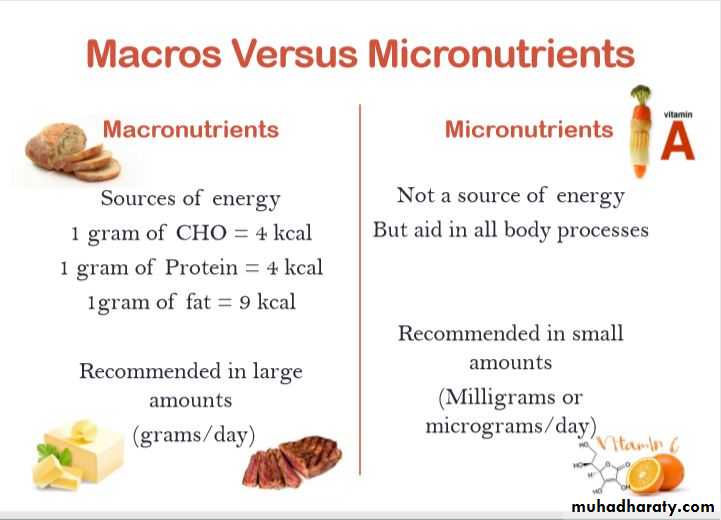 Nutrition and Health