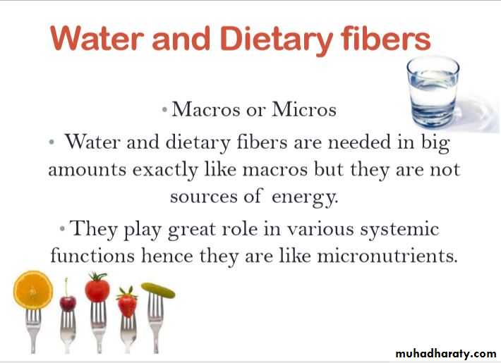 Nutrition and Health