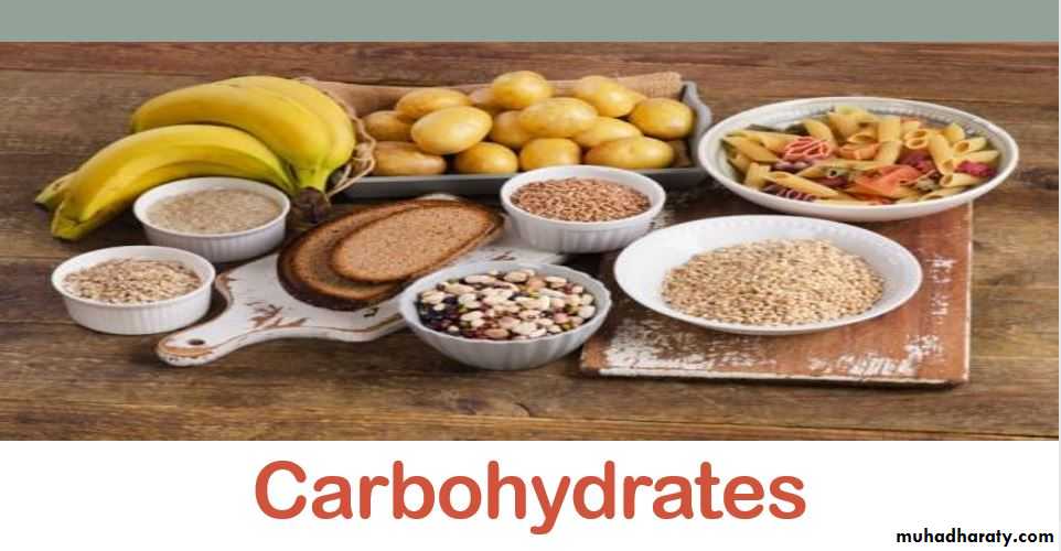 Nutrition and Health