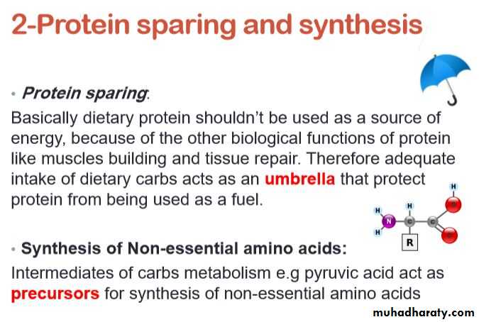 Nutrition and Health