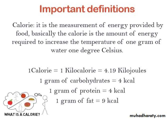 Nutrition and Health