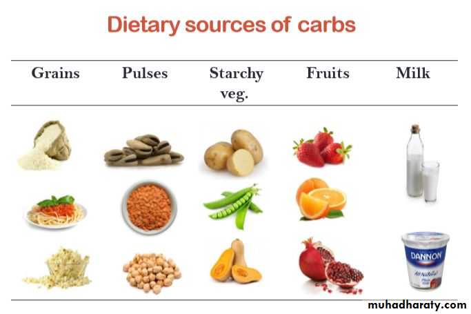 Nutrition and Health