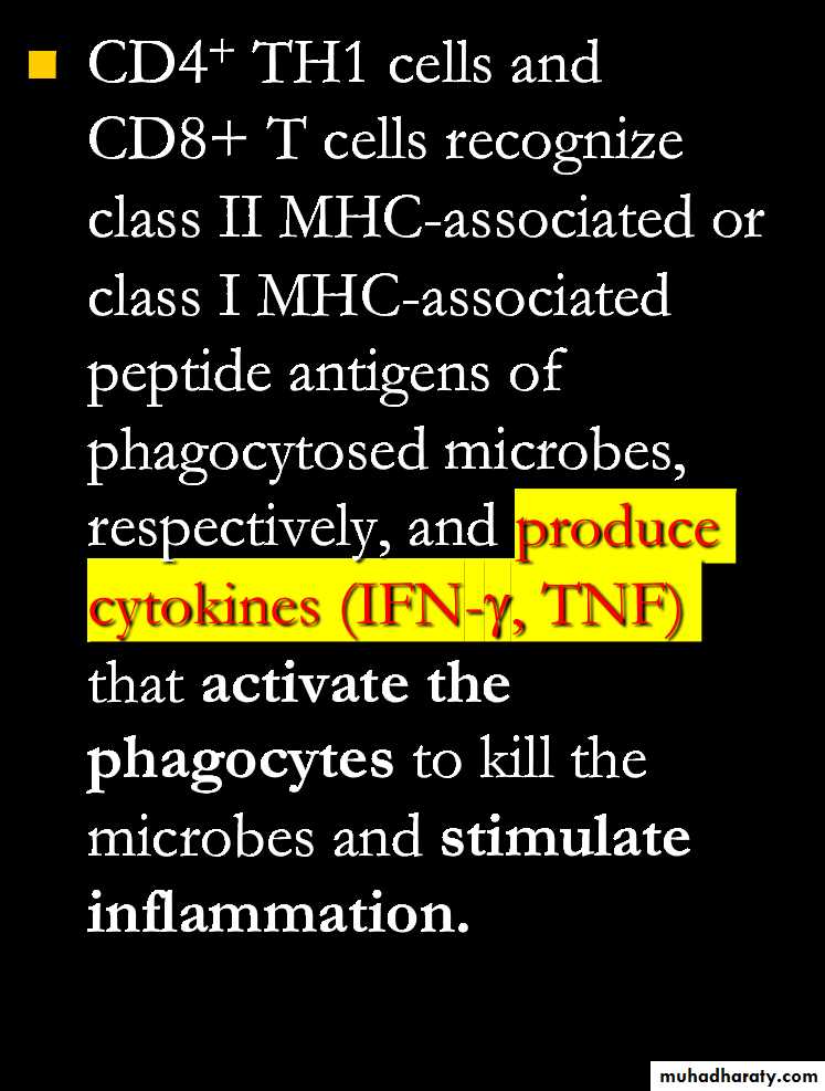 Cell mediated Immunity