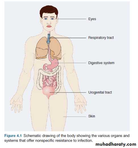 Immunity to Infection