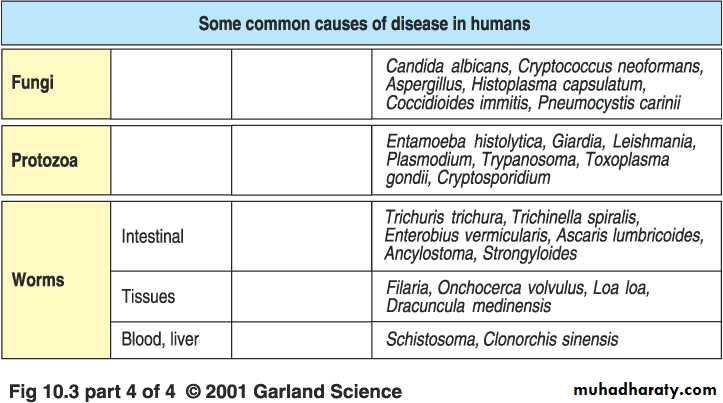 Immunity to Infection