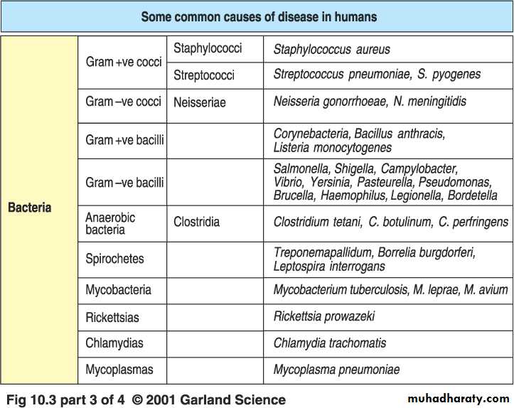 Immunity to Infection