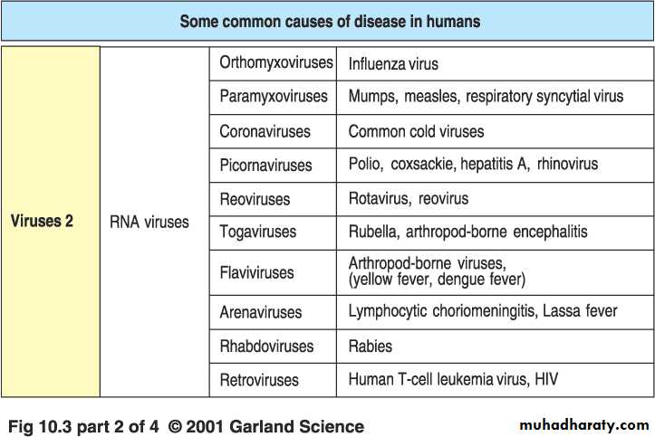 Immunity to Infection