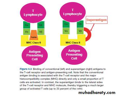 Immunity to Infection