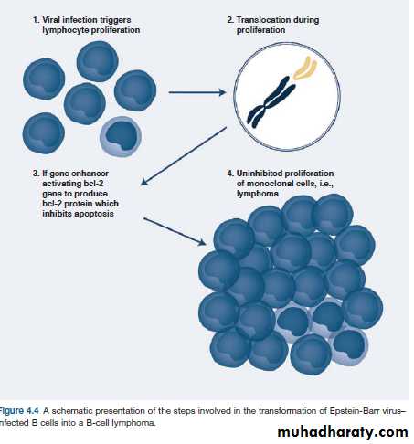 Immunity to Infection