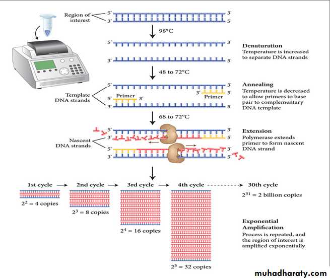 Laboratory Diagnosis of Cancer