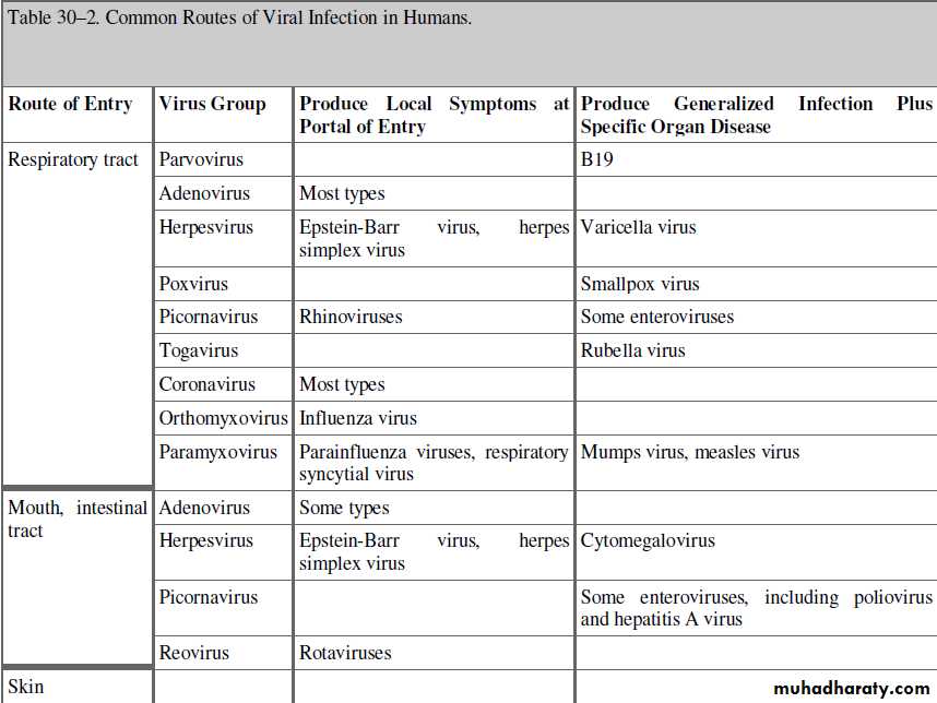 Pathogenesis of Viruses