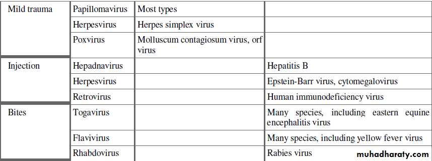 Pathogenesis of Viruses