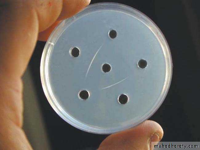 Immunologic Technoques