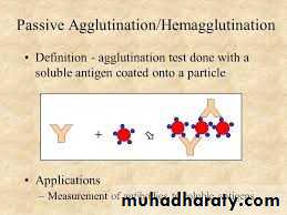 Immunologic Technoques