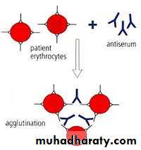 Immunologic Technoques