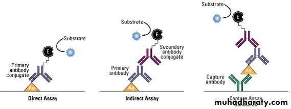 Immunologic Technoques