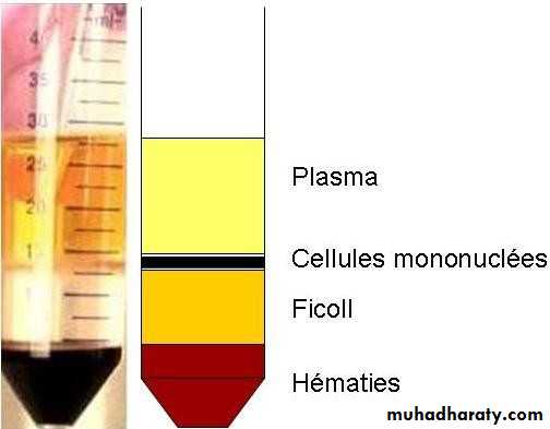 Immunologic Technoques