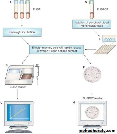 Immunologic Technoques