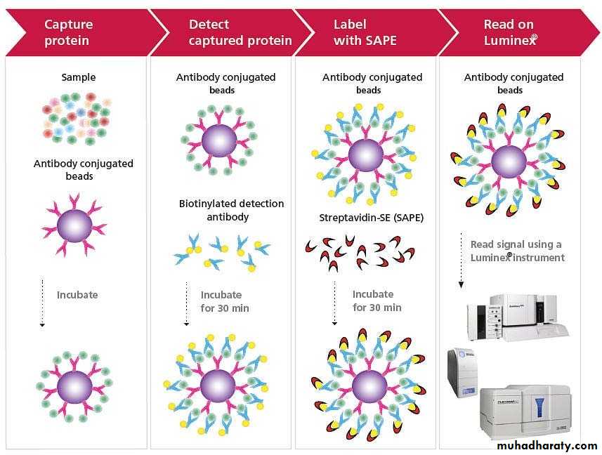 Immunologic Technoques
