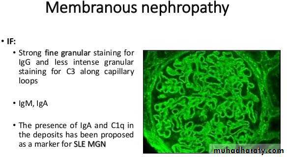 Immunologic Technoques