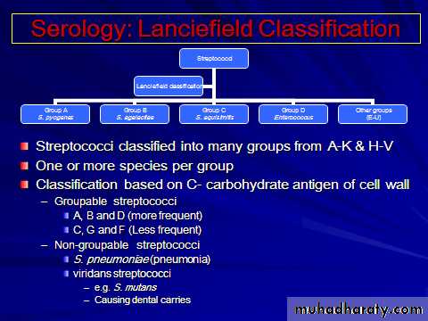 Systemic Bacteriology