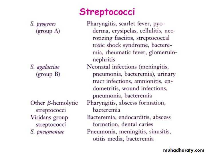 Systemic Bacteriology