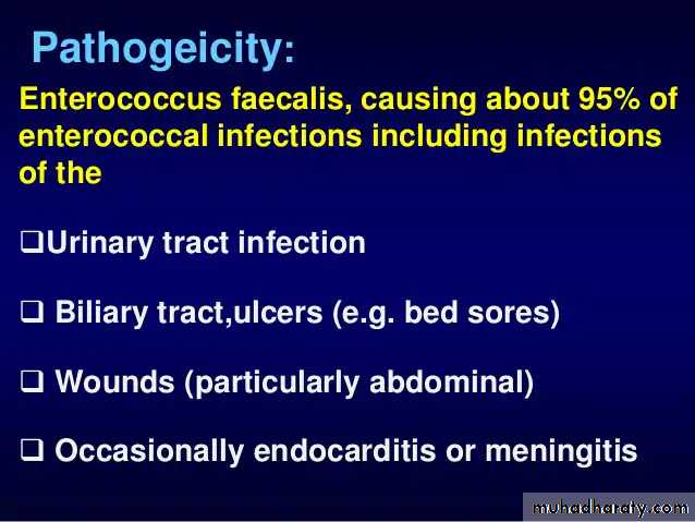 Strep. Pneumonia