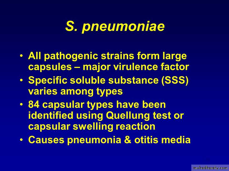Strep. Pneumonia