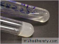 Staphylococci